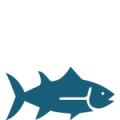 fishy-120×120 fishy-120x120
